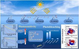 Insights into the photosensitivity and photobleaching of dissolved organic matter from microplastics: Structure-activity relationship and transformation mechanism