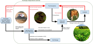 Carbon Sequestration during the Application of Processed Municipal Organic Waste in Agriculture: A Review