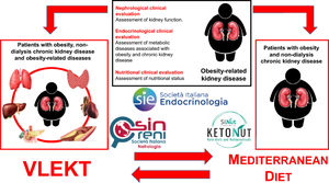 Nutritional assessment and medical dietary therapy for management of obesity in patients with non-dialysis chronic kidney disease: a practical guide for endocrinologist, nutritionists and nephrologists. A consensus statement from the Italian society of endocrinology (SIE), working group of the club nutrition–hormones and metabolism; the Italian society of nutraceuticals (SINut), club ketodiets and nutraceuticals “KetoNut-SINut”; and the Italian society of nephrology (SIN)