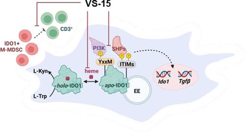 Identification of a Compound Inhibiting Both the Enzymatic and Nonenzymatic Functions of Indoleamine 2,3-Dioxygenase 1