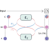 Demonstration of superior communication through thermodynamically free channels in an optical quantum switch