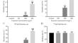 Sodium Fluoride Exposure Induces Developmental Toxicity and Cardiotoxicity in Zebrafish Embryos