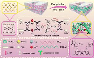 Tough and adhesive conductive hydrogels with fast gelation from a polyphenol–aluminium ion dual self-catalysis system for wearable strain sensors and triboelectric nanogenerators