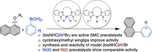 Bis(benzimidazolin-2-ylidenes): Exploring the Impact of Ligand Properties in the Nickel-Catalyzed Suzuki–Miyaura Coupling