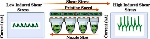 Tailoring Piezoelectricity of 3D Printing PVDF-MoS2 Nanocomposite via In Situ Induced Shear Stress