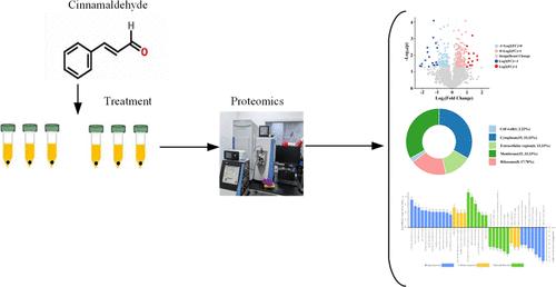 TMT-Based Quantitative Proteomics Revealed the Antibacterial Mechanism of Cinnamaldehyde against MRSA