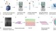 Genome sequencing of Mesorhizobium Spp. NI-7, an efficient nitrogen-fixing microsymbiont of chickpea with potential to unravel the molecular mechanisms of symbiotic nitrogen fixation in legumes