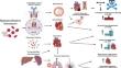 Myeloproliferative Neoplasms and Cardiovascular Disease: A Review