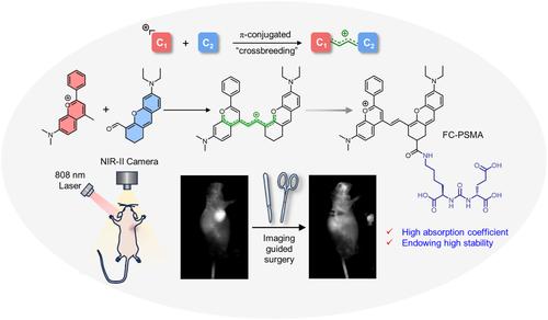 “Crossbreeding” NIR‐II flavchromene for PSMA‐positive prostate cancer detection and image‐guided surgery