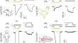 Structure and Functions of the OTOP1 Proton Channel