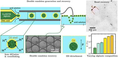 Controlling the size and elastic modulus of in-aqueous alginate micro-beads