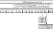 Carvacrol improves cognitive dysfunction by decreasing amyloid-β accumulation and regulating neuroinflammation in ovariectomized renovascular hypertensive rats