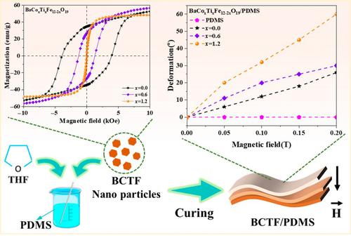 Magnetic elastomer composites with tunable magnetization behaviors for flexible magnetic transducers