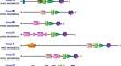 Adaptative responses of Neurospora crassa by histidine kinases upon the attack of the arthropod Sinella curviseta