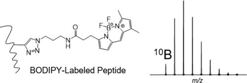 Investigation and Development of the BODIPY-Embedded Isotopic Signature for Chemoproteomics Labeling and Targeted Profiling