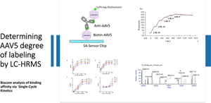 Determining the Degree of Sulfo-tag Conjugation to AAV5 Vectors by LC-HRMS and Evaluating the Effects on Antibody Binding Affinity and Bridging Assay Sensitivity