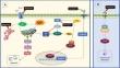 Anti-tumor activity of beauvericin: focus on intracellular signaling pathways