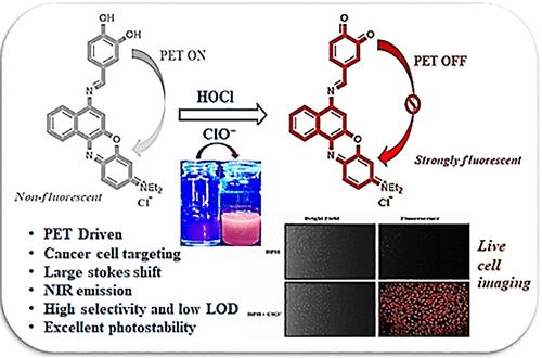 Near-Infrared Fluorescent Turn-On Probe for Selective Detection of Hypochlorite in Aqueous Medium and Live Cell Imaging