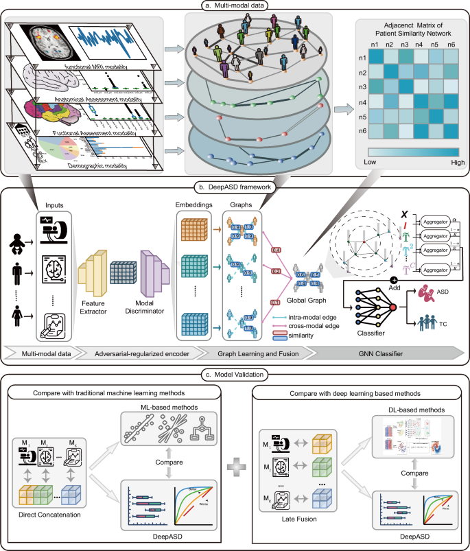 DeepASD: a deep adversarial-regularized graph learning method for ASD diagnosis with multimodal data