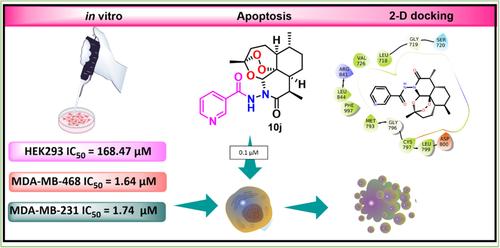 New hydrazide derivatives of N‐amino‐11‐azaartemisinin as promising epidermal growth factor receptor inhibitors for therapeutic development in triple‐negative breast cancer