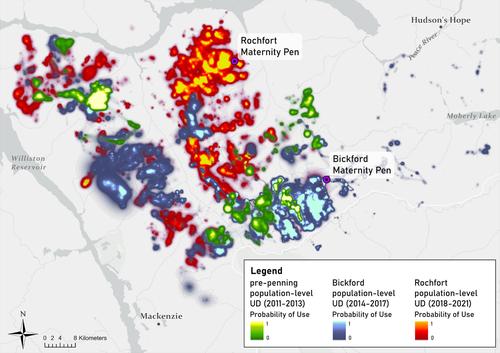 Go where you know: range expansion and fidelity in mountain caribou following eight years of maternity penning