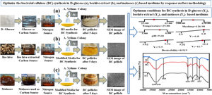 Green synthesis and optimization of bacterial cellulose production from food industry by-products by response surface methodolgy