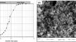 Mechanical and Microstructural Characteristics of Fly Ash-Nano-Silica Composites