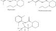 Postmortem distribution of ropivacaine and its metabolite in human body fluids and solid tissues by GC–MS/MS using standard addition method