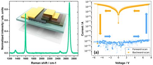 Memristors with Monolayer Graphene Electrodes Grown Directly on Sapphire Wafers