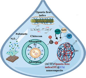 Synergistic effect of synthesized green nanocomposite of chitosan-activated carbon thin film (ACTF)@opuntia ficus-indica shell for removal of Sn (II) and As (V) ions from aqueous solution