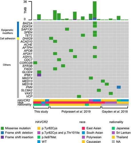 Genetic profiles and clinical features in subcutaneous panniculitis-like T-cell lymphomas