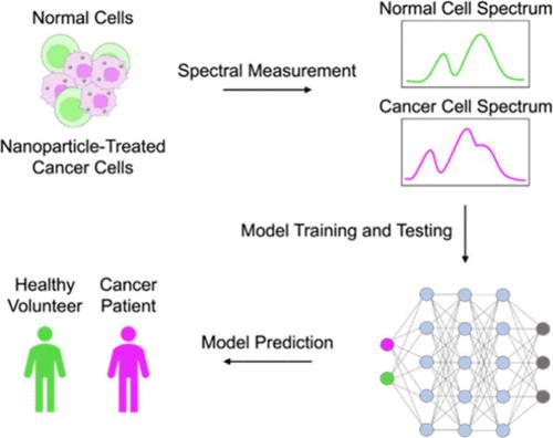 Enhancing Nanomaterial-Based Optical Spectroscopic Detection of Cancer through Machine Learning