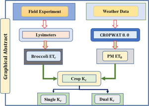 Development of single and dual crop coefficients for drip-irrigated broccoli using weighing type field lysimeters in semi-arid environment