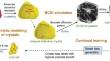 Automated defect identification in coherent diffraction imaging with smart continual learning