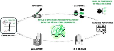 Current and emerging tools and strategies for the identification of bioactive natural products in complex mixtures