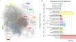 A network pharmacology-based approach to understand the mechanism of action of anti-mycobacterial activity of Acacia nilotica: a modelling and experimental study