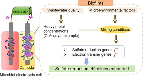 Enhancing Sulfate Reduction Efficiency in Microbial Electrolysis Cells: The Impact of Mixing Conditions and Heavy-Metal Concentrations on Functional Genes, Cell Activity, and Community Structure in Sulfate-Laden Wastewater Treatment