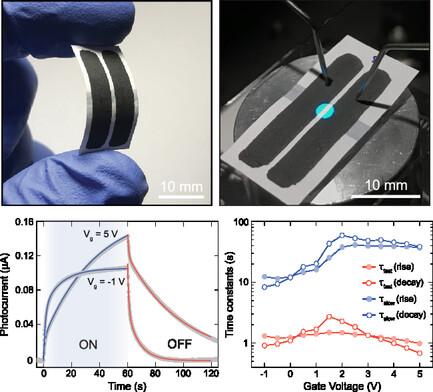 Flexible Phototransistors on Paper: Scalable Fabrication of PEDOT:PSS Devices Using a Pen Plotter