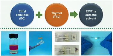 Innovative green synthesis of hydrophobic covalent networks using ethyl cellulose/thymol eutectic systems