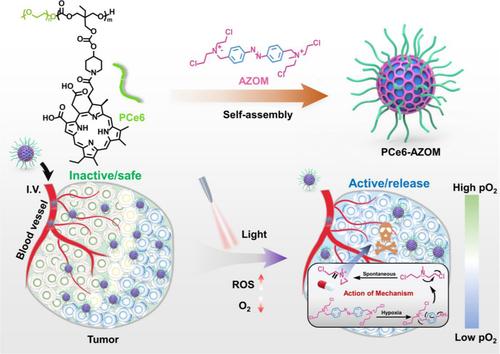 Photodynamic therapy promotes hypoxia‐activated nitrogen mustard drug release