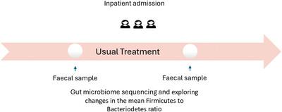 Changes in the Firmicutes to Bacteriodetes ratio in the gut microbiome in individuals with anorexia nervosa following inpatient treatment: A systematic review and a case series