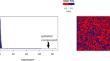 Mesoscopic structure of the stock market and portfolio optimization