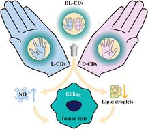 The heterogeneity of physiological activity for chiral carbon dots derived from L/D/DL-arginine