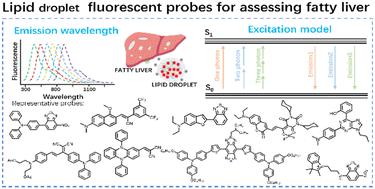 Recent advances in fluorescent probes for fatty liver imaging by detecting lipid droplets