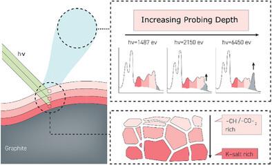 Why Half-Cell Samples Provide Limited Insight Into the Aging Mechanisms of Potassium Batteries