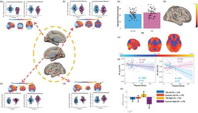 Physical activity and frontoparietal network connectivity in traumatic brain injury