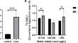 The Role of miRNA in Hyperthyroidism Induced by Excessive Iodine in Drinking Water