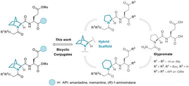 Discovery of hybrid Glypromate conjugates with neuroprotective activity against paraquat-induced toxicity†