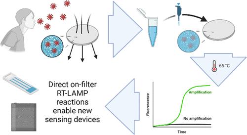 Optimization of Reverse Transcription Loop-Mediated Isothermal Amplification for In Situ Detection of SARS-CoV-2 in a Micro-Air-Filtration Device Format