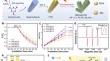 Synergistic Cu single-atoms and clusters on tubular carbon nitride for efficient photocatalytic performances